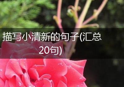 描写小清新的句子(汇总20句)