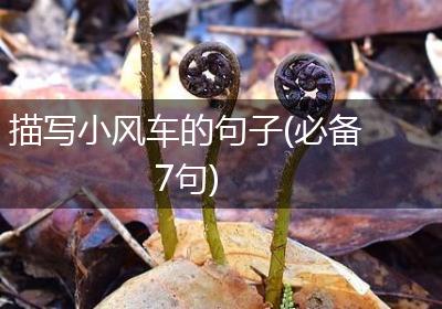 描写小风车的句子(必备7句)
