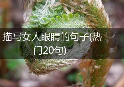 描写女人眼睛的句子(热门20句)