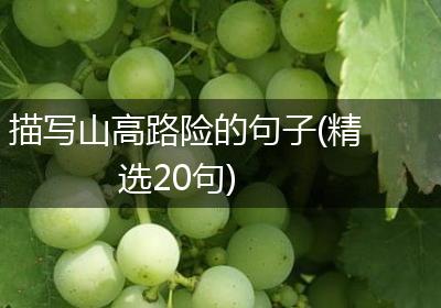 描写山高路险的句子(精选20句)