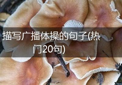 描写广播体操的句子(热门20句)