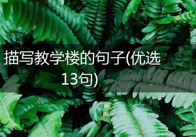 描写教学楼的句子(优选13句)