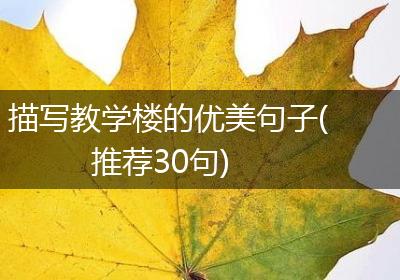 描写教学楼的优美句子(推荐30句)