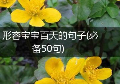 形容宝宝百天的句子(必备50句)