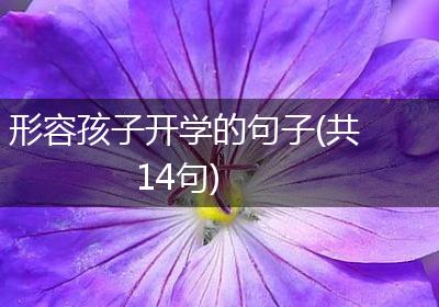形容孩子开学的句子(共14句)