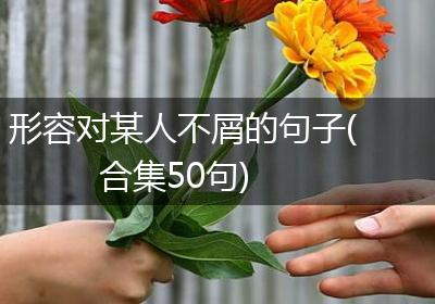 形容对某人不屑的句子(合集50句)