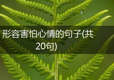 形容害怕心情的句子(共20句)