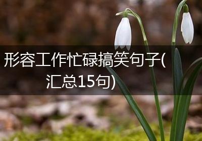 形容工作忙碌搞笑句子(汇总15句)