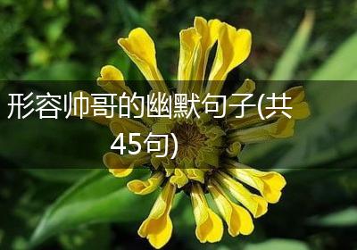 形容帅哥的幽默句子(共45句)