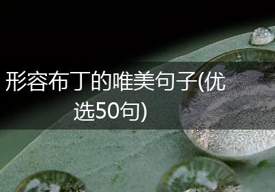 形容布丁的唯美句子(优选50句)