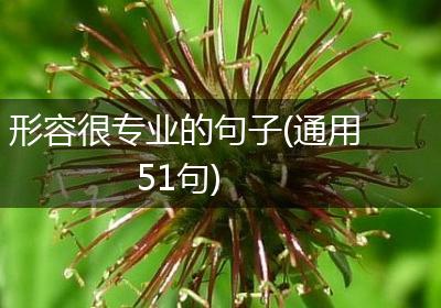 形容很专业的句子(通用51句)