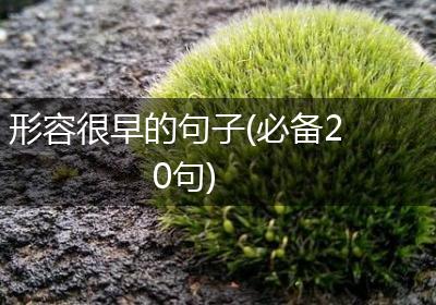 形容很早的句子(必备20句)