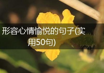 形容心情愉悦的句子(实用50句)