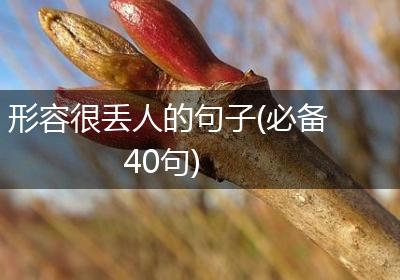 形容很丢人的句子(必备40句)