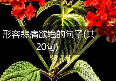 形容悲痛欲绝的句子(共20句)