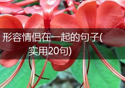 形容情侣在一起的句子(实用20句)