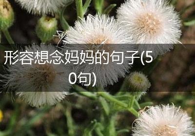 形容想念妈妈的句子(50句)