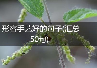 形容手艺好的句子(汇总50句)