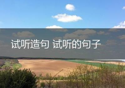 试听造句 试听的句子