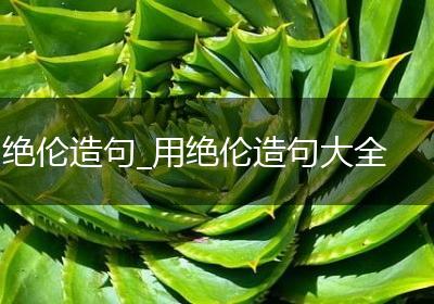 绝伦造句_用绝伦造句大全