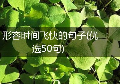 形容时间飞快的句子(优选50句)
