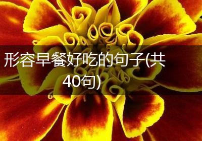 形容早餐好吃的句子(共40句)