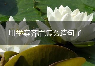 用举案齐眉怎么造句子