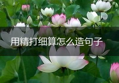 用精打细算怎么造句子
