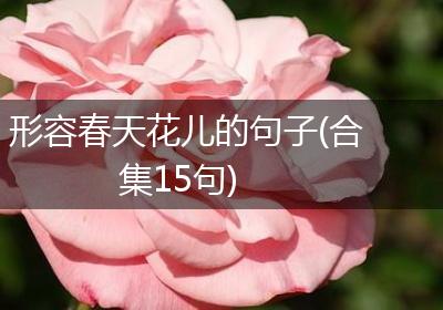 形容春天花儿的句子(合集15句)