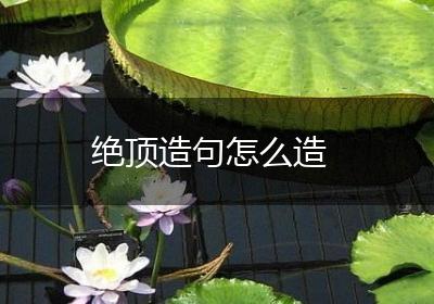 绝顶造句怎么造