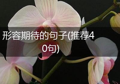 形容期待的句子(推荐40句)