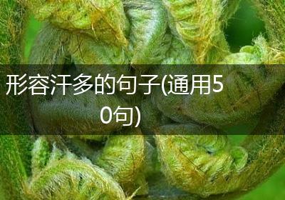 形容汗多的句子(通用50句)