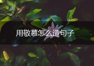 用敬慕怎么造句子