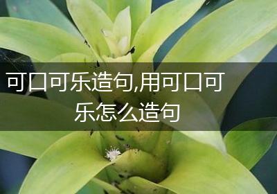 可口可乐造句,用可口可乐怎么造句