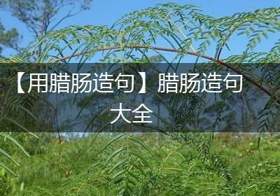 【用腊肠造句】腊肠造句大全
