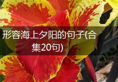形容海上夕阳的句子(合集20句)