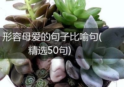 形容母爱的句子比喻句(精选50句)
