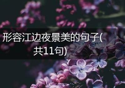 形容江边夜景美的句子(共11句)