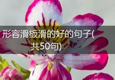形容滑板滑的好的句子(共50句)