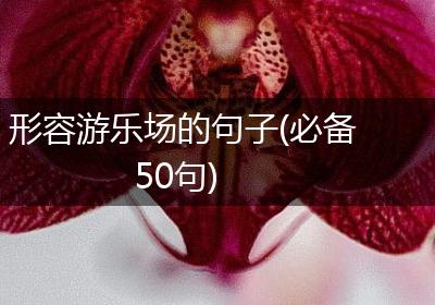形容游乐场的句子(必备50句)