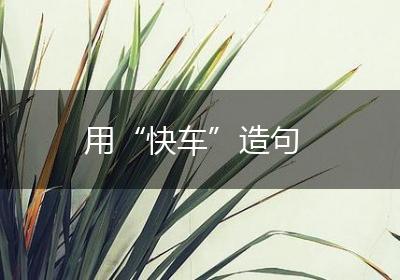 用“快车”造句