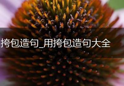 挎包造句_用挎包造句大全