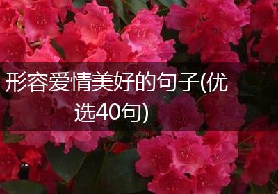 形容爱情美好的句子(优选40句)