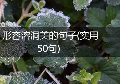 形容溶洞美的句子(实用50句)