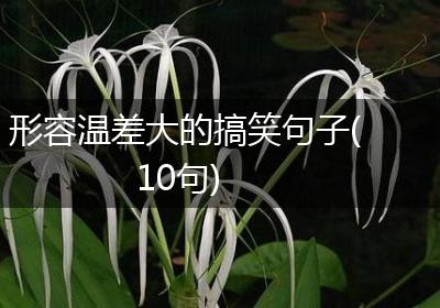 形容温差大的搞笑句子(10句)
