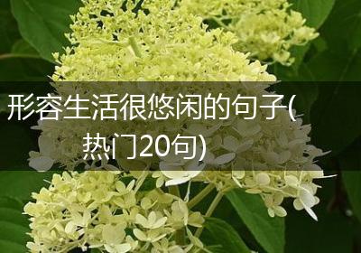 形容生活很悠闲的句子(热门20句)
