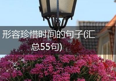 形容珍惜时间的句子(汇总55句)