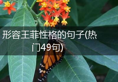 形容王菲性格的句子(热门49句)