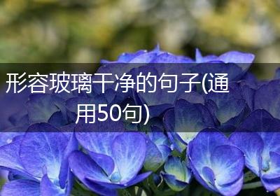 形容玻璃干净的句子(通用50句)