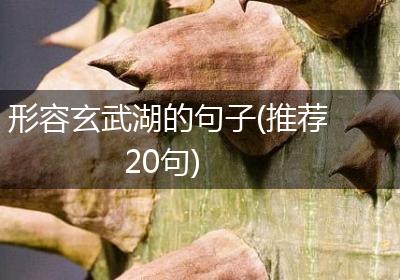 形容玄武湖的句子(推荐20句)